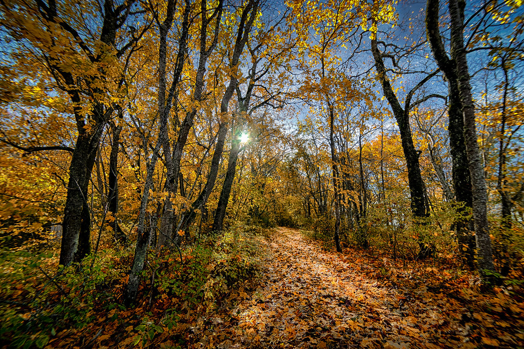 sunny october
