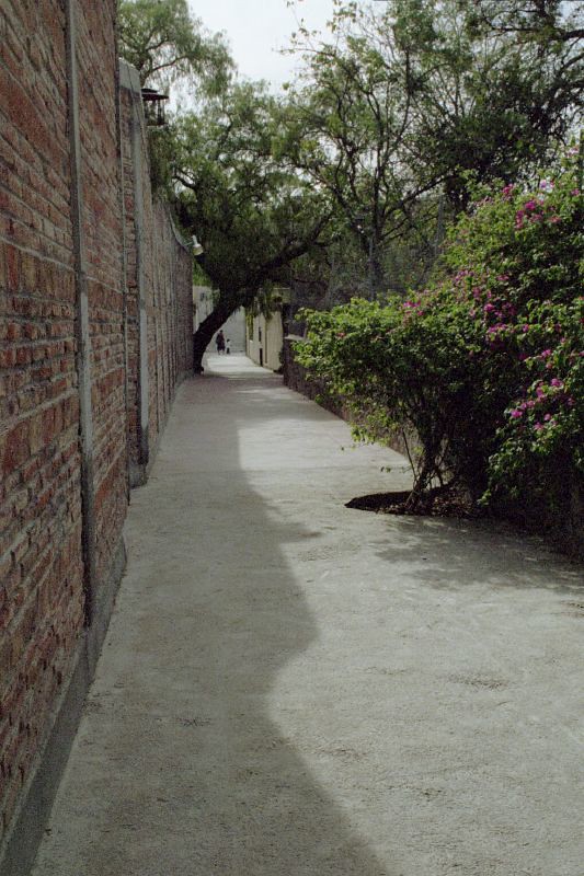 Paths
