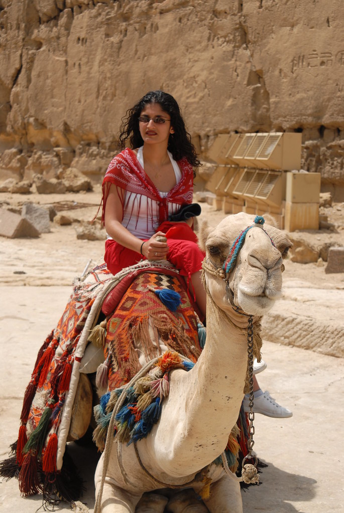 Camel