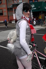 Bunny on a Bike ride