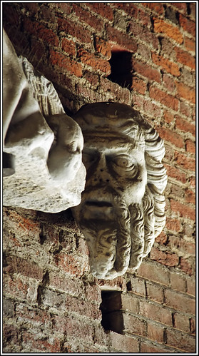 Head