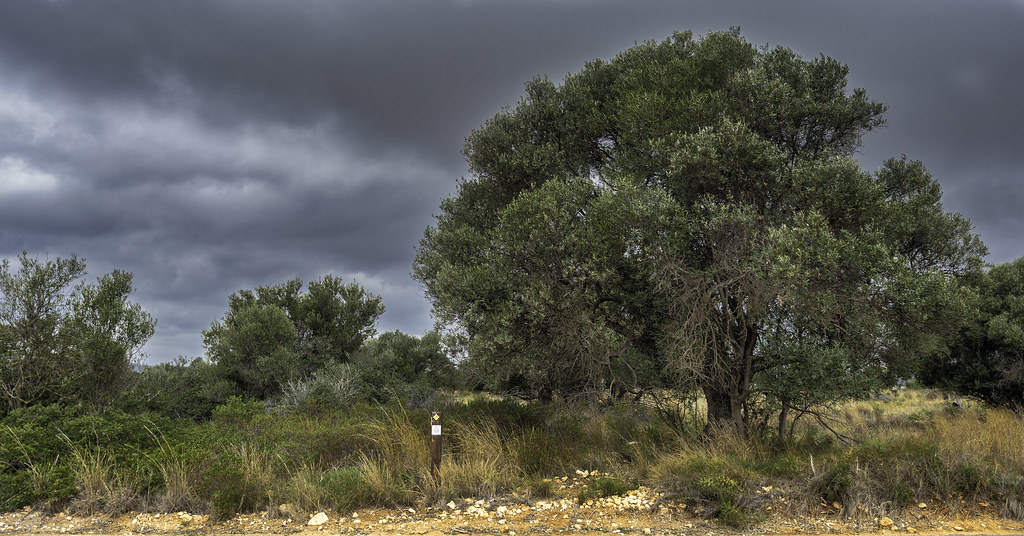 TORREBLANCA (CASTELLON) SPAIN