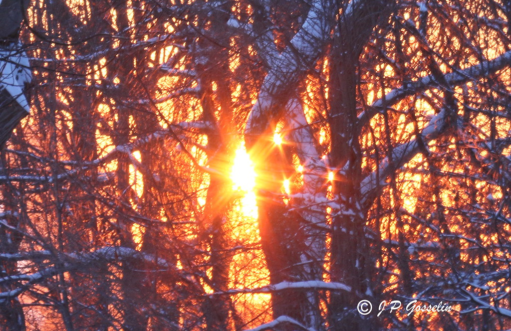 SUNBURSTS | KONDIARONK BELVEDERE | MOUNT ROYAL PARK | MONTREAL | QUEBEC | CANADA