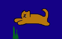 swimcat