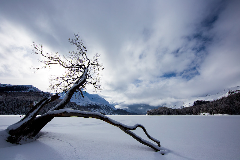 magical spirit of winter 2