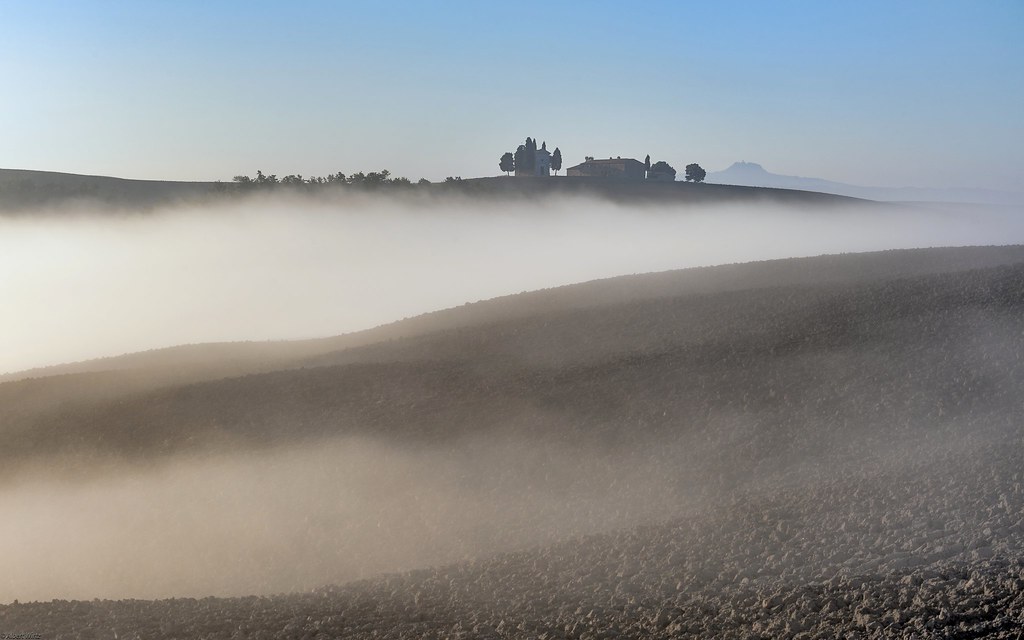 *Misty Fields*