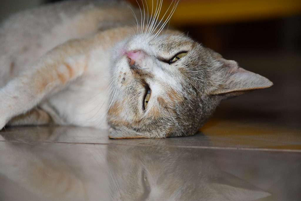 Stretching after a short nap