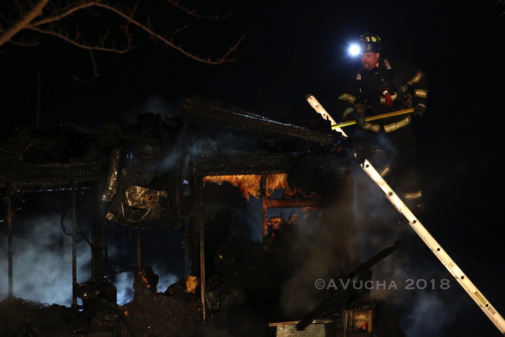 13 Dogs Perish in Hampshire Barn Fire