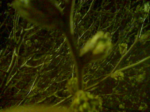 Image034.jpg