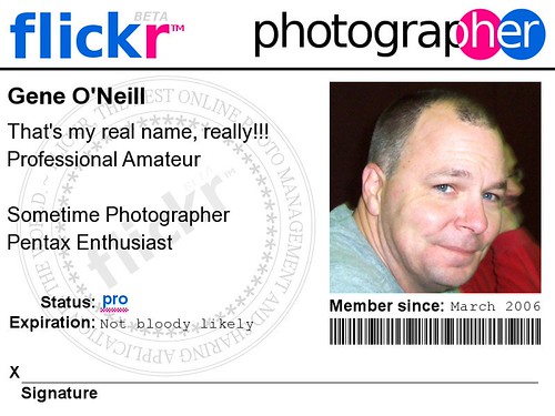 Flickr Badge