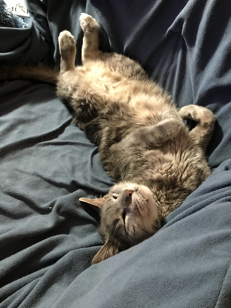 Sleepy head