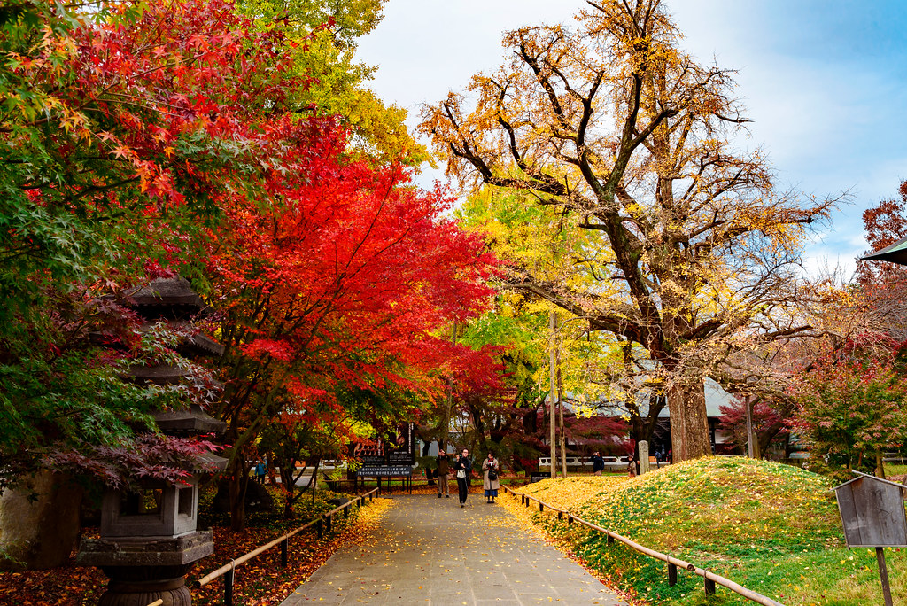 At Kuhonbutsu Joshinji Temple of autumn leaves : 九品仏浄真寺（東京都世田谷区）