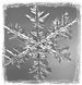 icon_flake