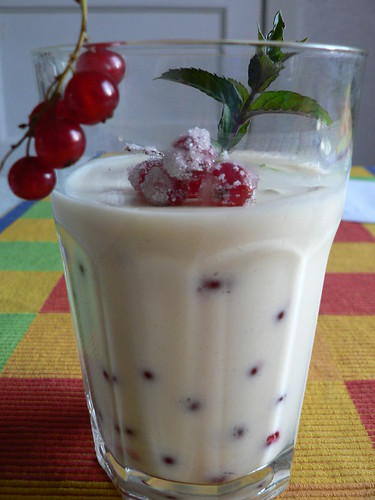 Buttermilk Jelly with Red Currants 005