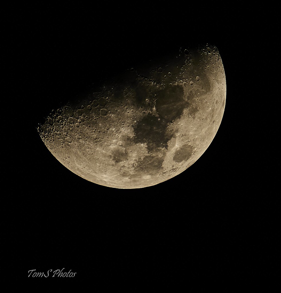 Backyard moon.