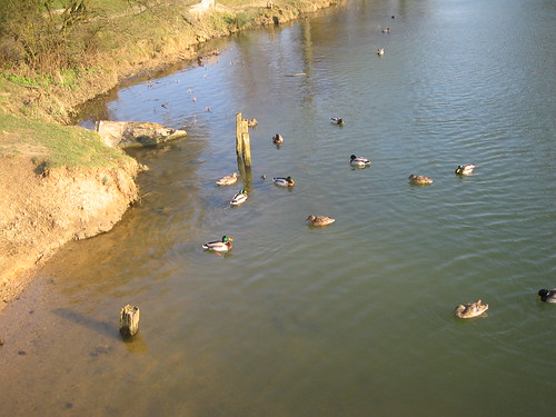 port meadow