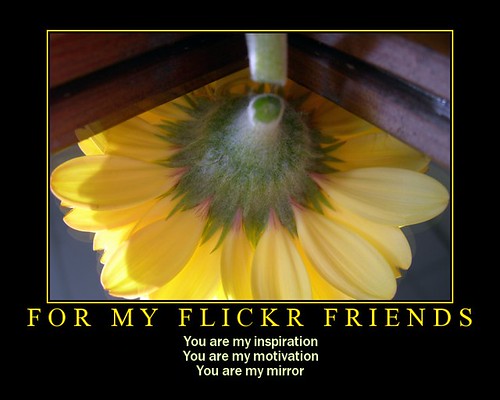 For you