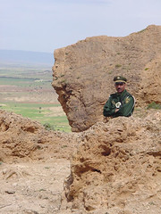 los polis salen de debajo las piedras