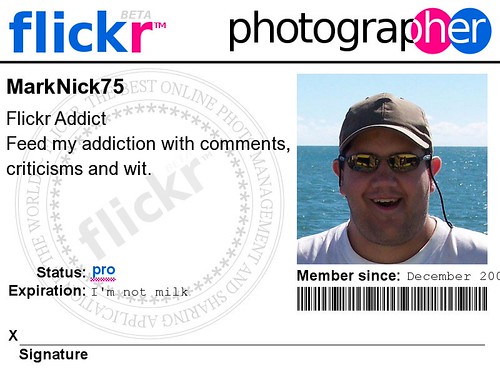 My Flickr badge