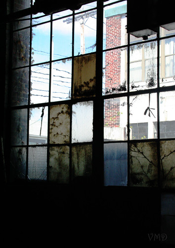 window quilt