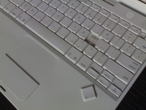 Why you shouldn't let the cat too near the keyboard
