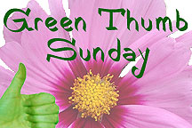 Join Green Thumb Sunday