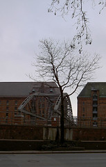 03_2006-Hamburg-HafenCity9