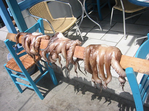 Octopus drying, Hora, Naxos