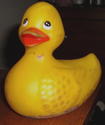 duck55.jpg