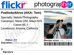 Press Badge