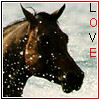 Icone "LOVE" Cheval
