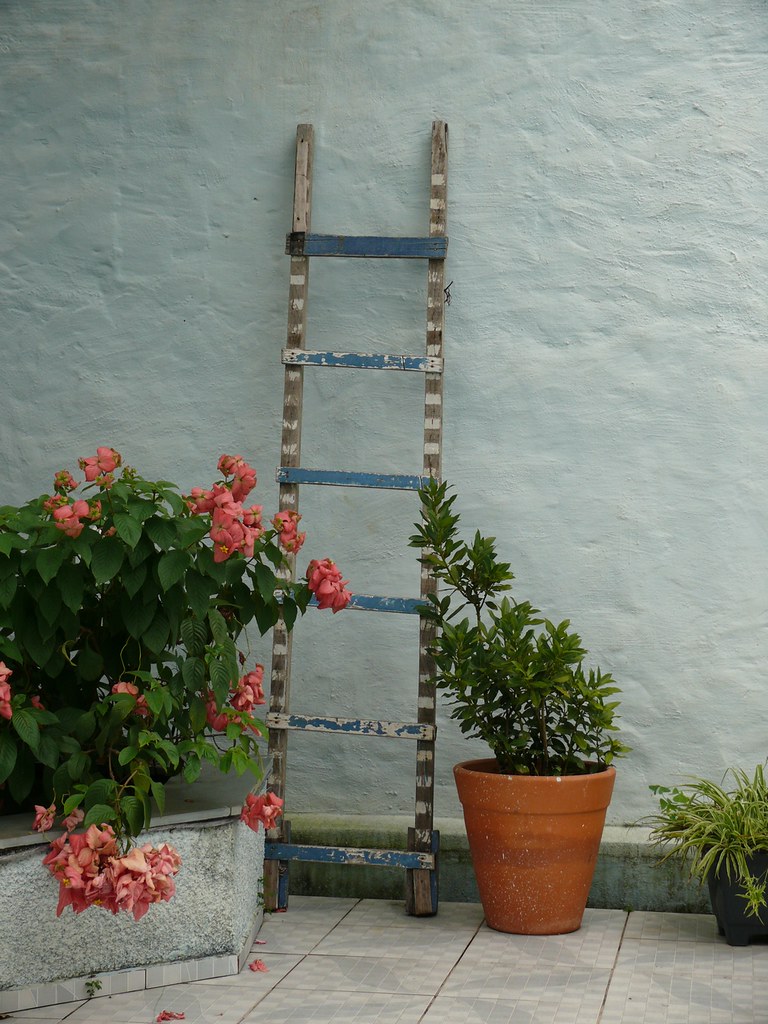 Ladder