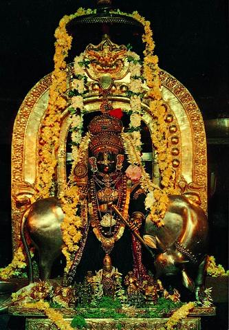Udupi Sri Krishna image