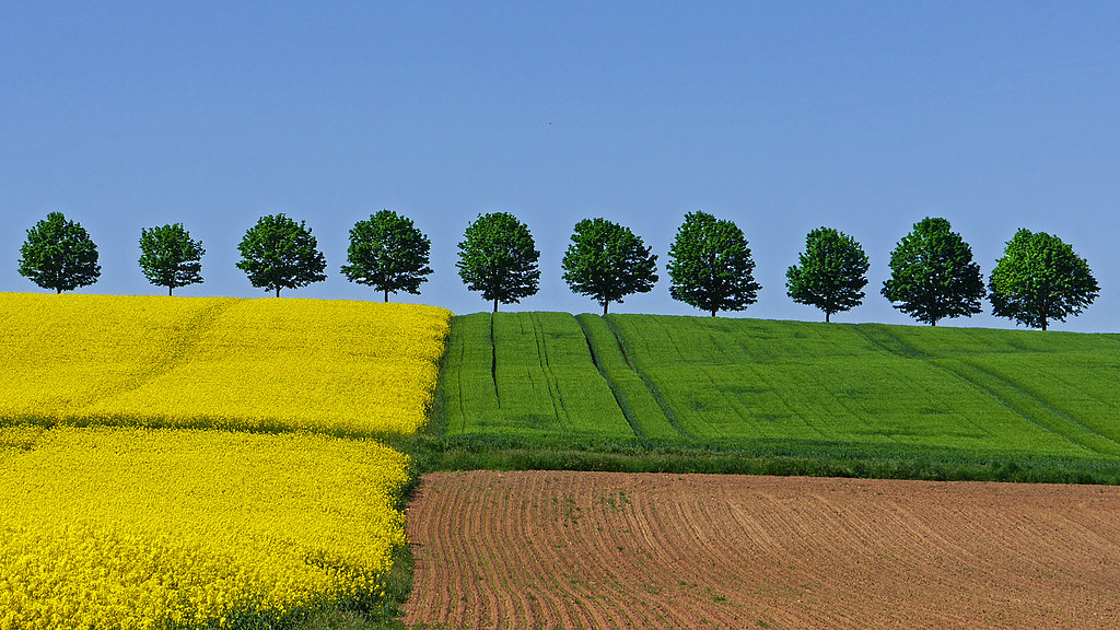 Colours of Spring
