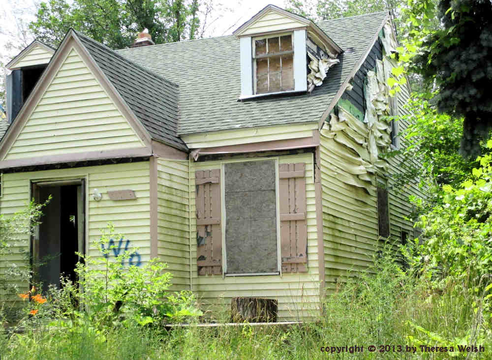 Abandoned House, Detroit