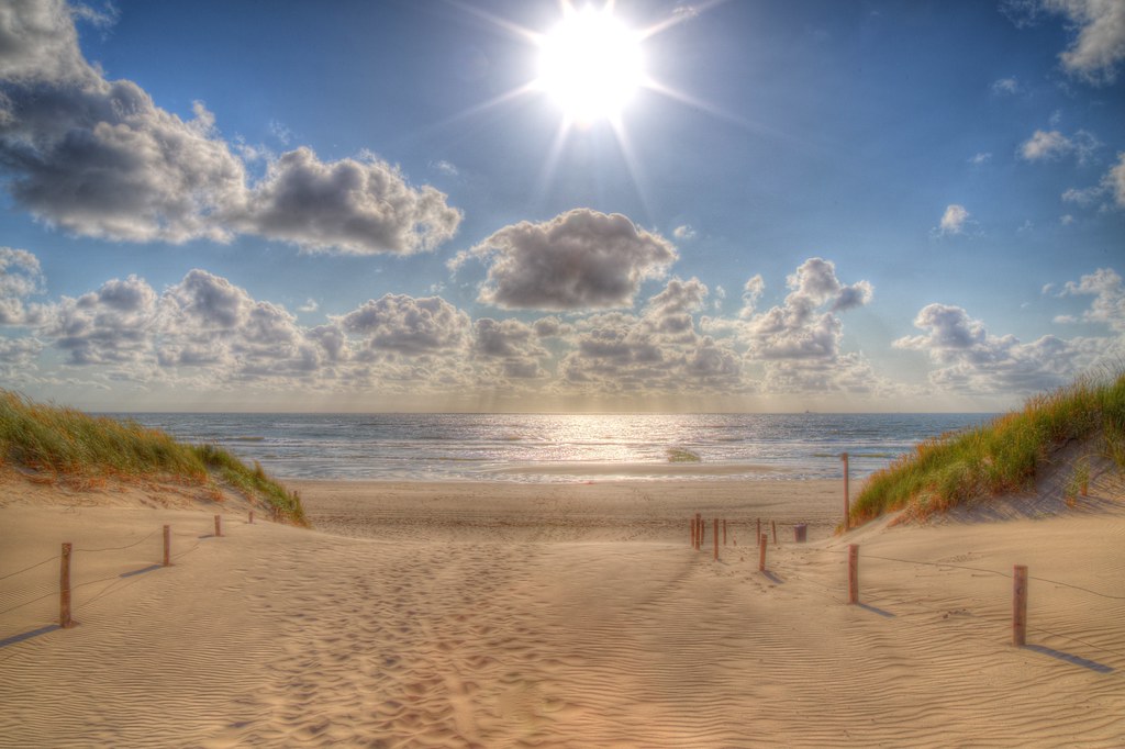 Follow the sun