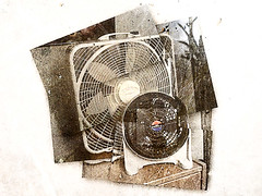 yourbiggestfan