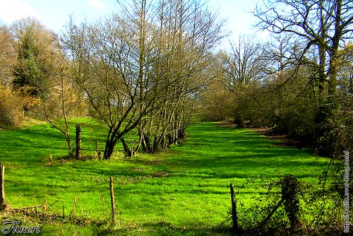 Vallée verte