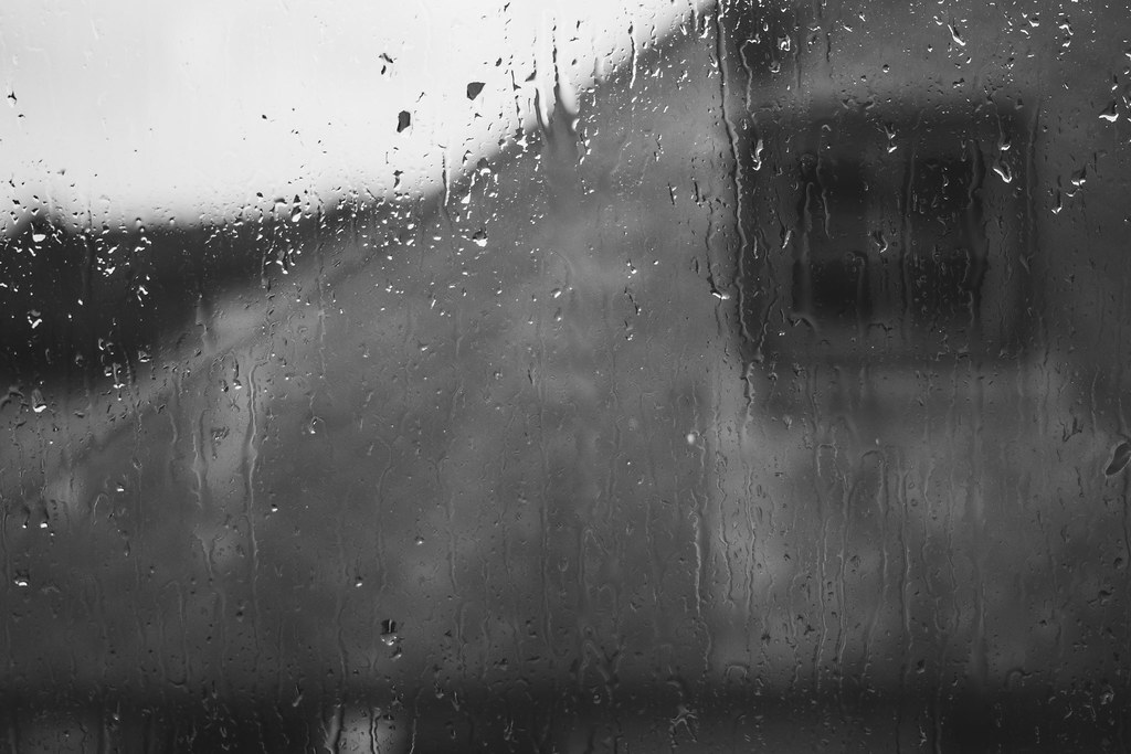 listen to the rhythm of the falling rain