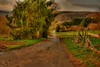 HDR 2