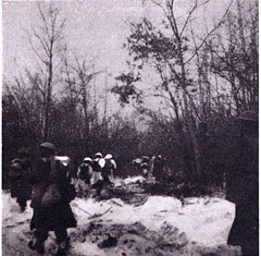 1945 - le 3e BLE dans les bois d'Elsenheim