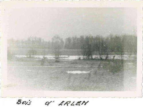 1945 - bois d'Erlein
