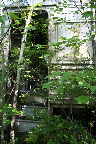 the secret door