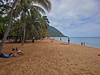 La plage de Grande Anse est l'une des plus importantes plages de Guadeloupe, située au lieu-dit de Ziotte à deux kilomètres au nord du bourg de Deshaies, dans la partie nord-ouest de Basse-Terre.