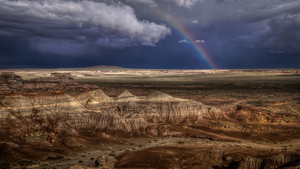 Petrified Rainbow