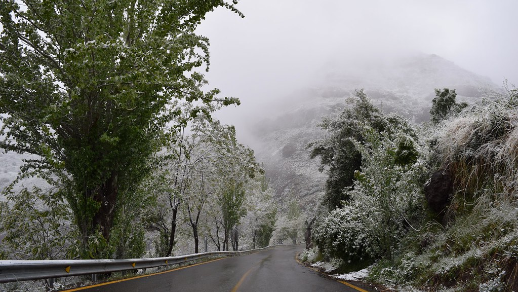 Ruta nevada
