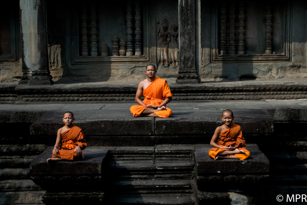 Young Buddhist monks