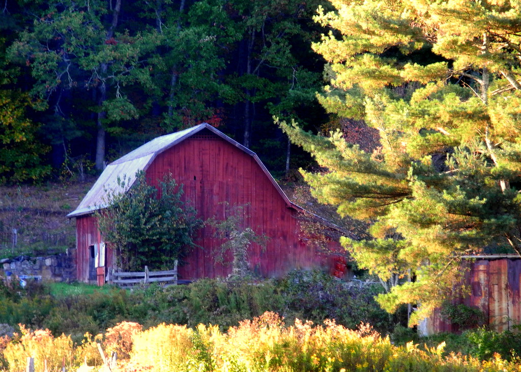 An old red barn along the road in autumn
