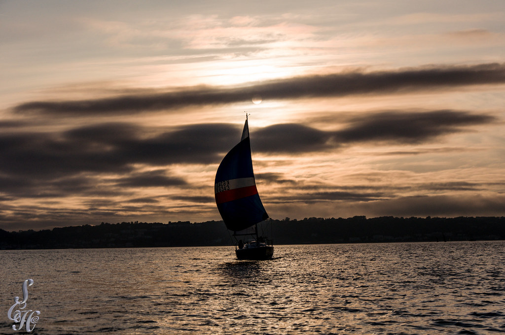 DSC_0133.jpg