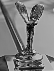 Silver spirit